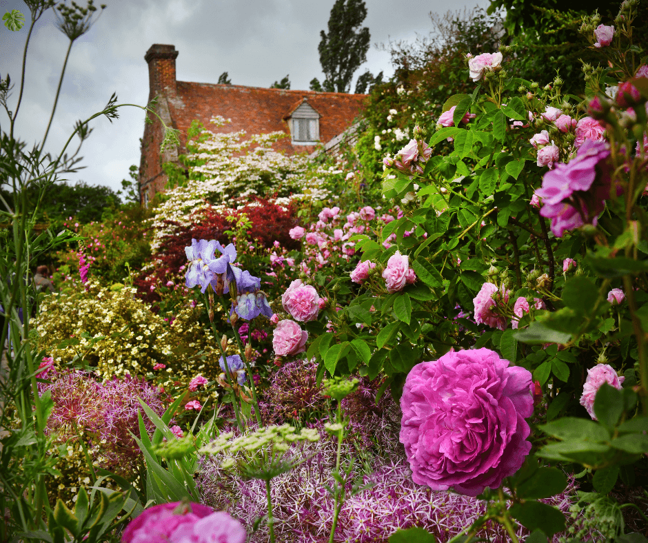 English garden, flower and luxury gardening