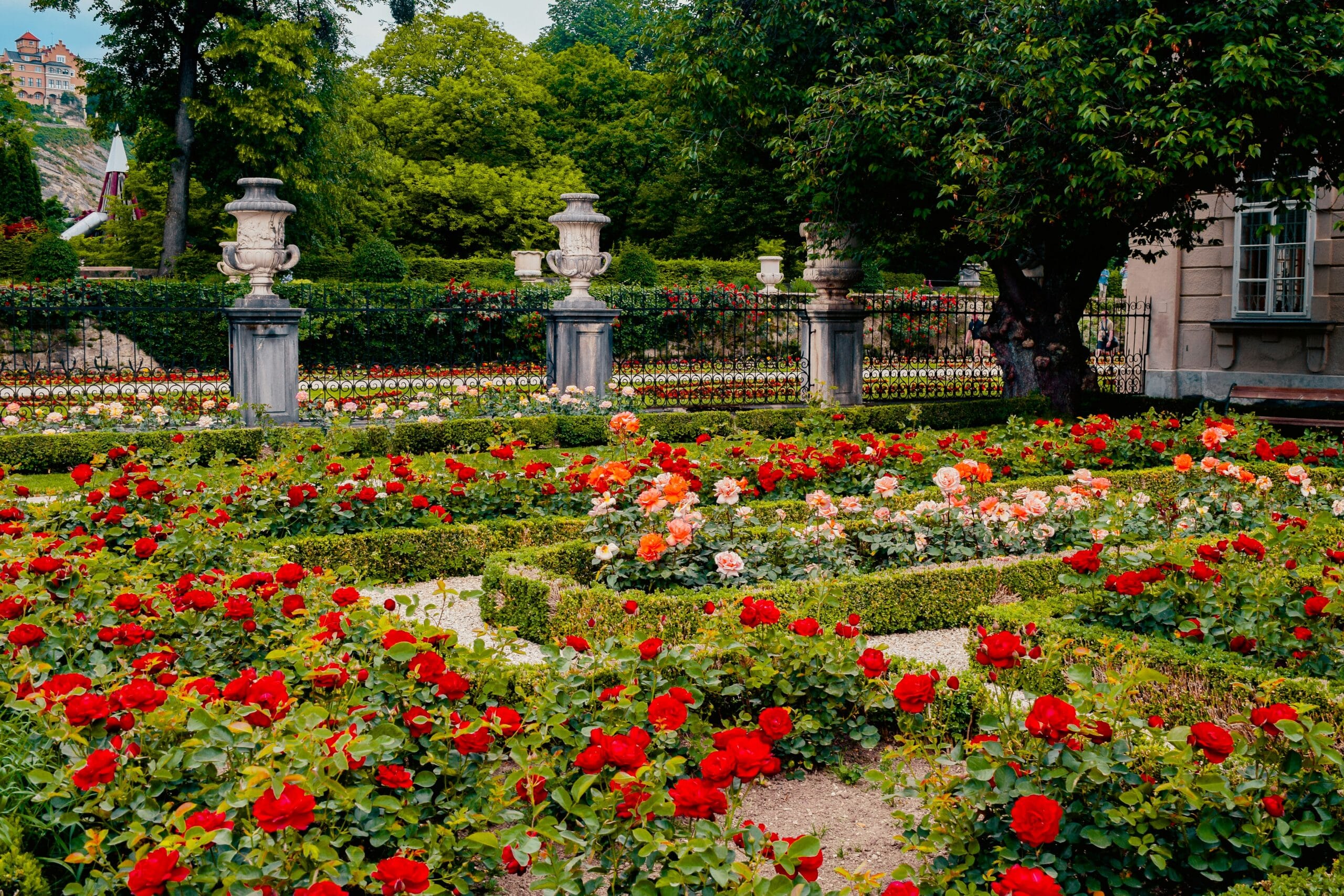You are currently viewing Why botanical traditions shape our life and home